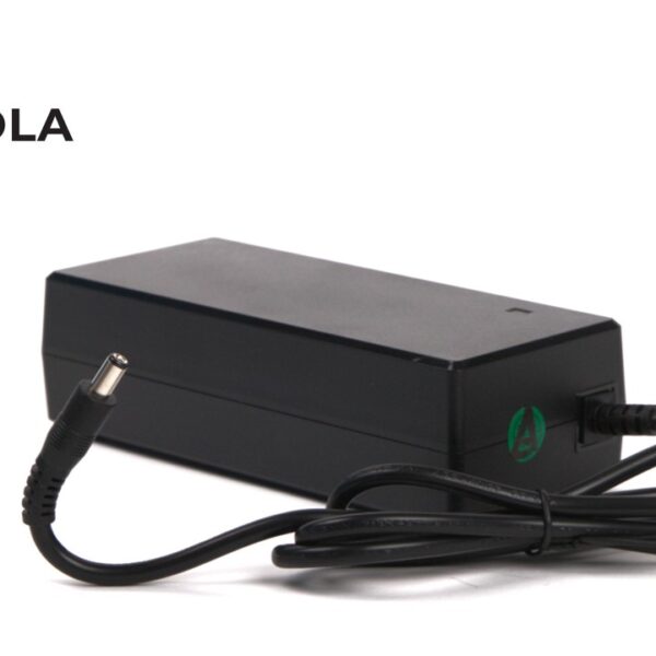 Keola oplader voor 36V accu's, 5.5 x 2.1 DC stekker (42V,2A)